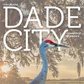 Dade iMap